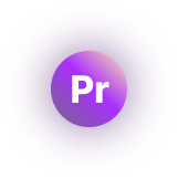 프리미어 아이콘
